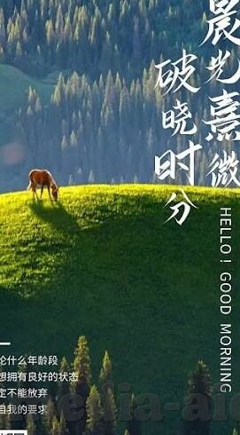 成人麻豆手机av在线-成人麻豆手机观影体验的理性探讨
