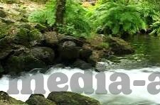 成人免费视频网站-成人内容平台，网络世界的双刃剑