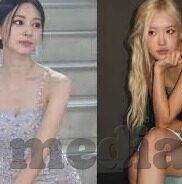成人女人看片免费视频放人-成人世界，探索网络视频的多元视角与界限