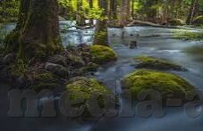 果冻传媒精选麻豆白晶晶-探寻白晶晶，果冻传媒精选麻豆的独特魅力
