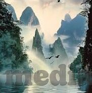 伦理在看-伦理之眼，透视生活与决策的明灯