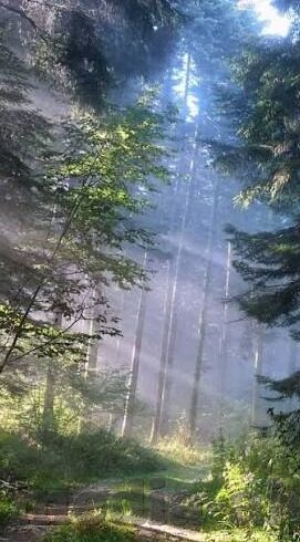 麻豆成人av-