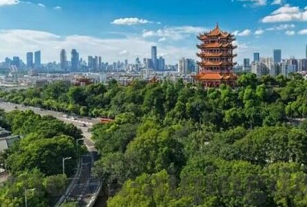 麻豆传媒下载app-理性审视网络内容的边界，麻豆传媒下载app现象的深度分析