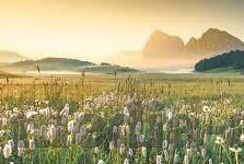 麻豆国产91在线-麻豆国产91在线，理性审视与合法内容选择的探讨
