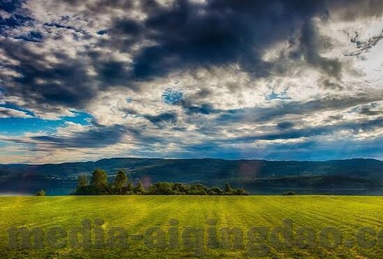 麻豆煤app免费下载-麻豆煤App，畅享免费下载的数字娱乐新篇章