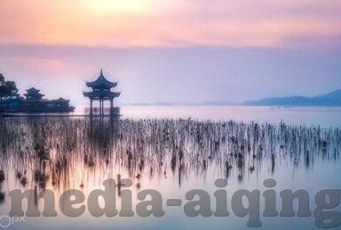 四虎麻豆av-不良信息的传播与预防，树立正确的价值观念至关重要