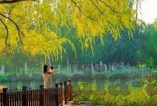 糖心vlog在线破解版-独家揭秘，安全观影，守护网络净土——对糖心vlog在线破解版现象的批判性思考